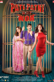 Pati Patni Aur Woh (2019) – Full Movie Download & Watch FREE – MRBOBD.COM