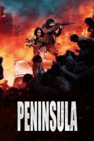 Train To Busan 2: Peninsula (2020) Korean Movie Hindi Dubbed – Full Movie Download & Watch FREE – MRBOBD.COM