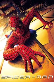 Spider-Man (2002) BluRay Hindi/English – Full Movie Download & Watch FREE – MRBOBD.COM