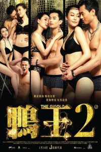 The Gigolo 2 (2016) – 🔞 – Full Movie Download & Watch FREE – MRBOBD.COM