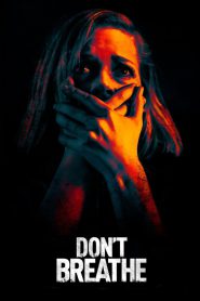 Don’t Breathe (2016) BluRay Hindi + English – Full Movie Download & Watch FREE – MRBOBD.COM