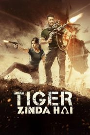 Tiger Zinda Hai (2017) HD – Full Movie Download & Watch FREE – MRBOBD.COM