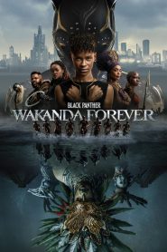 Black Panther: Wakanda Forever (2022) Hindi + English – Full Movie Download & Watch FREE – MRBOBD.COM
