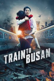 Train To Busan (2016) Korean Movie – Hindi + English – Full Movie Download & Watch FREE – MRBOBD.COM