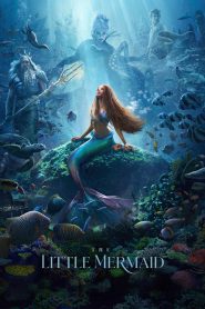 The Little Mermaid (2023) Dual Audio Hindi – Full Movie Download & Watch FREE – MRBOBD.COM