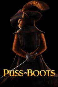 Puss in Boots (2011) Dual Audio (Hindi-Eng) – Full Movie Download & Watch FREE – MRBOBD.COM