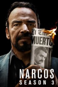 Narcos: Season 3 – Hindi/English