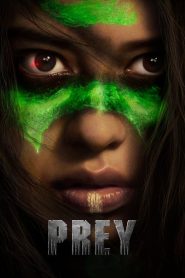 Prey (2022) Hindi + English – Full Movie Download & Watch FREE – MRBOBD.COM