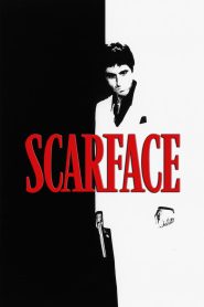 Scarface(1983) Hindi + English – Full Movie Download & Watch FREE – MRBOBD.COM
