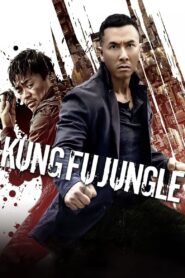 Kung Fu Jungle (2014) Hindi Dual – Full Movie Download & Watch FREE – MRBOBD.COM