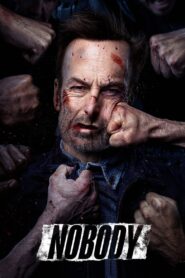 Nobody (2021) Hindi + English – Full Movie Download & Watch FREE – MRBOBD.COM