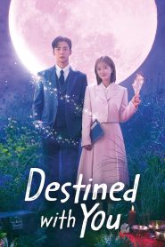 Destined with You: Season 1 – Hindi/Korean