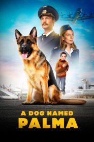 A Dog Named Palma (2021) Russian – Full Movie Download & Watch FREE – MRBOBD.COM