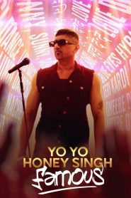 Yo Yo Honey Singh: Famous (2024) Documentary – Hindi – Full HD – Download & Watch FREE – MRBOBD.COM