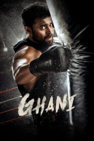 Ghani (2022) Hindi Dubbed – Full Movie Download & Watch FREE – MRBOBD.COM
