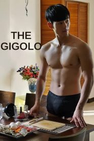 The Gigolo (2015) – 🔞 – Full Movie Download & Watch FREE – MRBOBD.COM