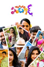 Wanted PanduGod (2022) Uncut Dual Audio [Hindi-Telugu] – Full Movie Download & Watch FREE – MRBOBD.COM