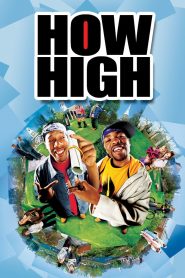 How High (2001) English – Full Movie Download & Watch FREE – MRBOBD.COM
