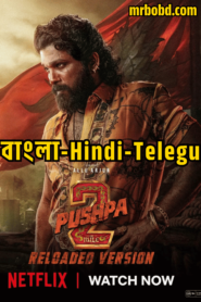 Pushpa 2 – The Rule (2024) – Reloaded Version – Bangla/Hindi – 4K – Netflix – Full Movie Download & Watch FREE – MRBOBD.COM