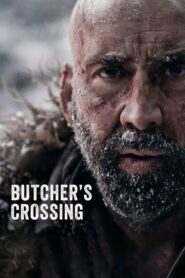 Butchers Crossing (2022) Dual Audio [Hindi-English] BluRay – Full Movie Download & Watch FREE – MRBOBD.COM