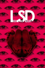 LSD: Love, Sex aur Dhokha (2010) – 🔞 – Full Movie Download & Watch FREE – MRBOBD.COM