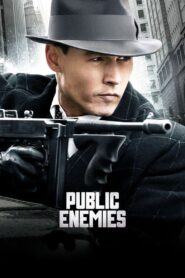 Public Enemies (2009) Hindi + English – Full Movie Download & Watch FREE – MRBOBD.COM