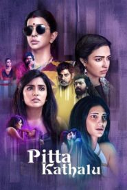 Pitta Kathalu: Season 1