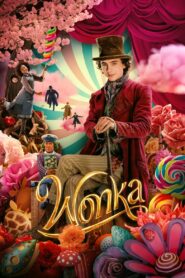 Wonka (2023) BluRay Hindi + English – Full Movie Download & Watch FREE – MRBOBD.COM