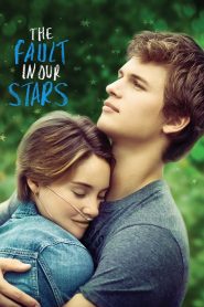 The Fault in Our Stars (2014) – Full Movie Download & Watch FREE – MRBOBD.COM