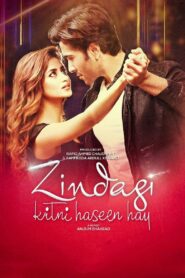 Zindagi Kitni Haseen Hay (2016) Pakistani – Full Movie Download & Watch FREE – MRBOBD.COM