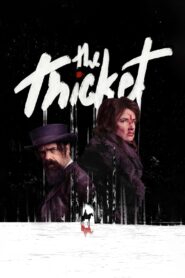 The Thicket (2024) Dual Audio Hindi ORG – Full Movie Download & Watch FREE – MRBOBD.COM