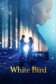White Bird A Wonder Story (2024) Dual Audio Hindi – Full Movie Download & Watch FREE – MRBOBD.COM