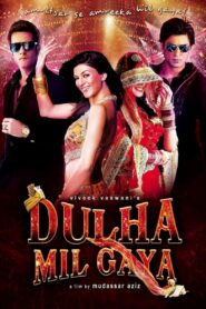 Dulha Mil Gaya (2010) Hindi BluRay – Full Movie Download & Watch FREE – MRBOBD.COM
