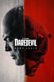 Daredevil: Born Again (2025) Season 01 – Episode 01-09 – Hindi/English – Full Series Download & Watch FREE – MRBOBD.COM