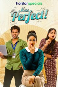 Miss Perfect (2024) Season 1 – Bangla/Hindi – Full Series Download & Watch FREE – MRBOBD.COM