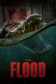 The Flood (2023) English – Full Movie Download & Watch FREE – MRBOBD.COM