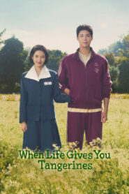 When Life Gives You Tangerines (2025) Season 01 – Dual Audio [Hindi-English] NetFlix WEB-DL – Full Series Download & Watch FREE – MRBOBD.COM