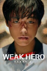 Weak Hero (2025) Season 01 + 02 – Hindi/English/Korean – Full Series Download & Watch FREE – MRBOBD.COM