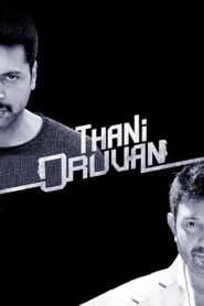 Thani Oruvan (2015) Hindi/Tamil Dual Audio – Full Movie Download & Watch FREE – MRBOBD.COM