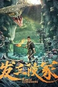 The Dragon’s Tomb (2024) Dual Audio [Hindi ORG-Chinese] WEB-DL H264 AAC 1080p 720p ESub – Full Movie Download & Watch FREE – MRBOBD.COM