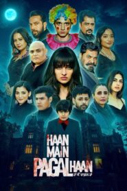 Haan Main Pagal Haan (2025) – WEB-DL H264 AAC 1080p 720p 480p Download & Watch FREE