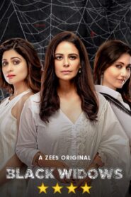 Black Widows: Season 1