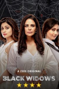 Black Widows: Season 1