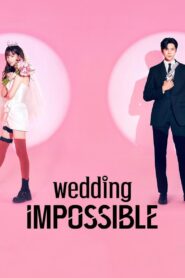 Wedding Impossible (2024) S01 Hindi ORG AMZN – WEB-DL H264 AAC 1080p 720p 480p Download & Watch FREE